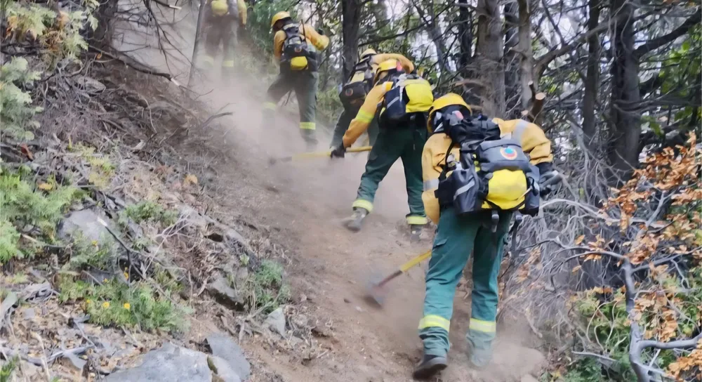 Screenshot_20260128_182622_Chrome