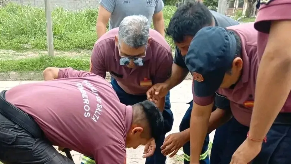 IMG_20241112_143949_(930_x_525_píxel)