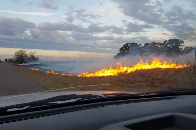 fuego