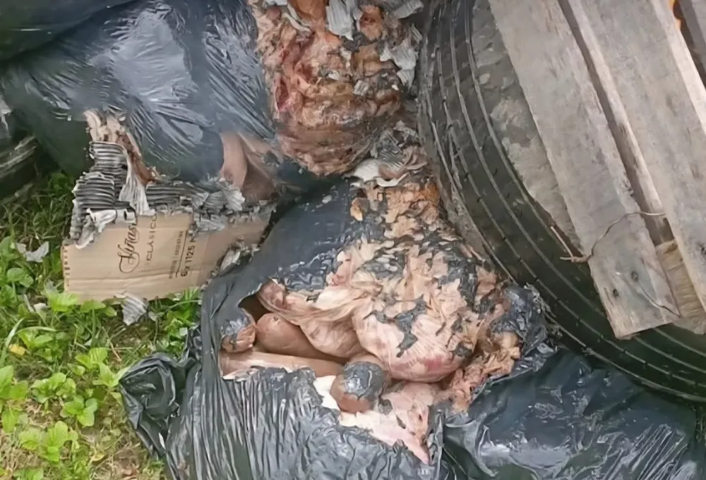 FB_IMG_1773785448860