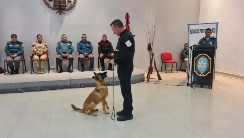 IMG_20240514_183905_(930_x_525_píxel)