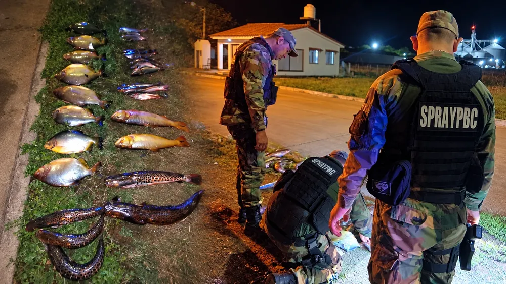 peces