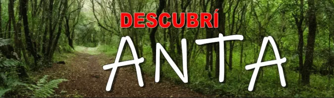 VISITA ANTA 1