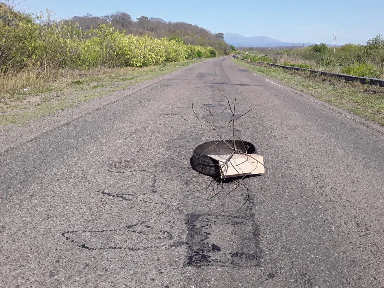 Bache en Ruta 16