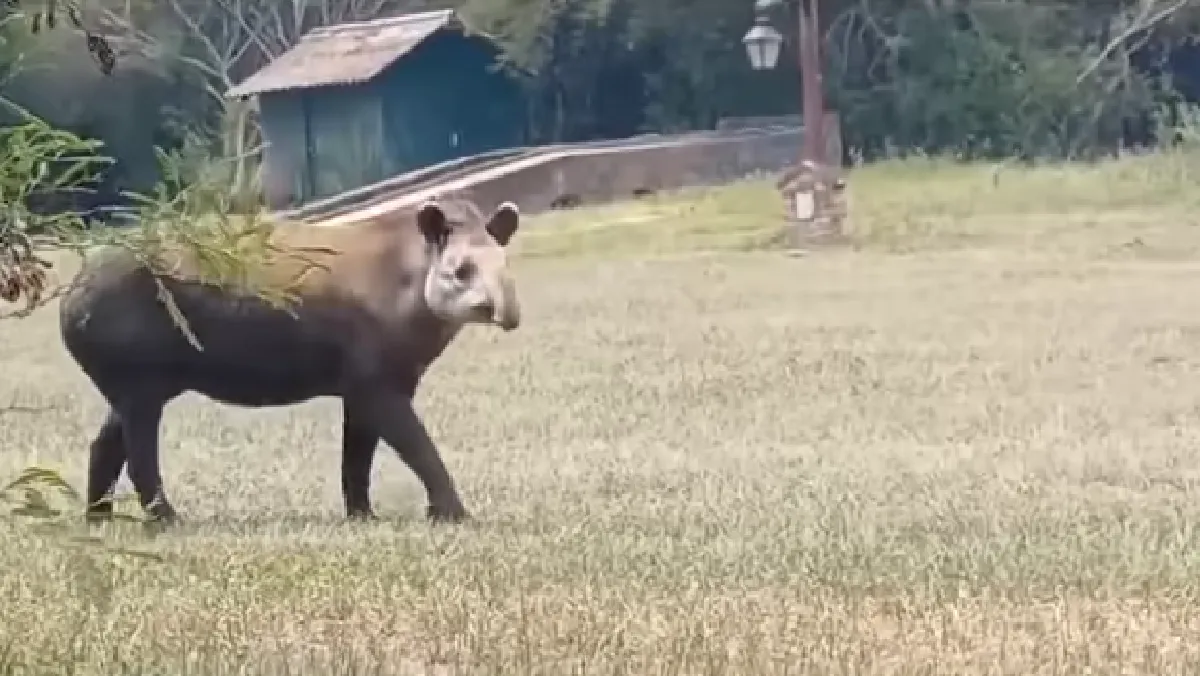 Parque Nacional El Rey