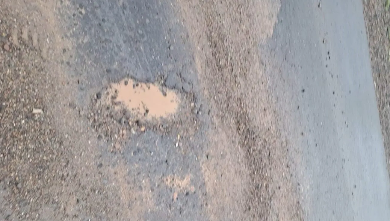 WhatsApp Image 2025-12-06 at 00.10.21