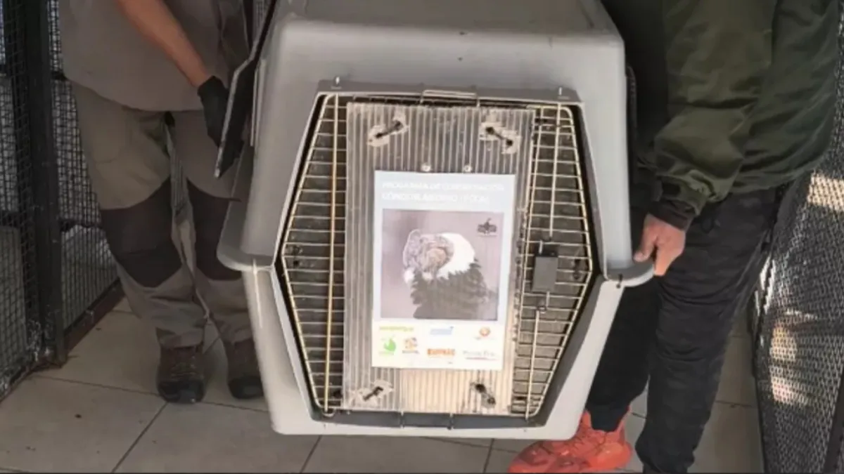 IMG_20251112_183445_(1200_x_675_píxel)