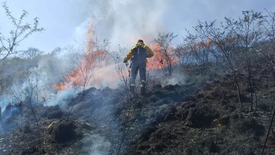 IMG_20240903_173725_(930_x_525_píxel)