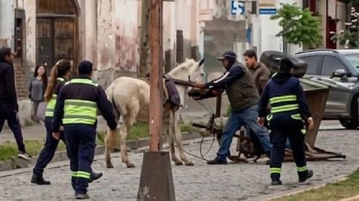 Caballo