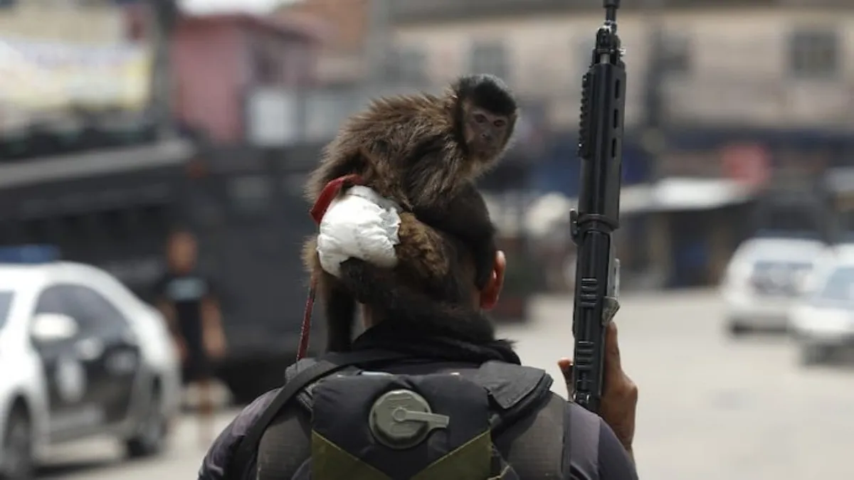 IMG_20251028_190734_(1200_x_675_píxel)