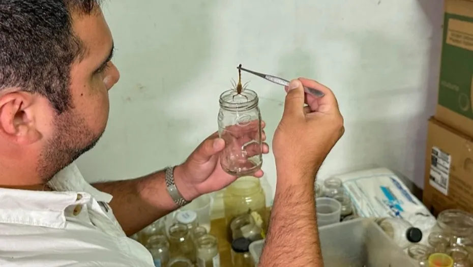 IMG_20240117_185152_(930_x_525_píxel)