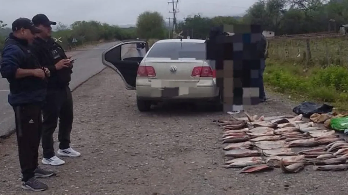 IMG_20251114_191157_(1200_x_675_píxel)