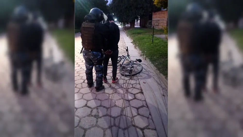 Detenido