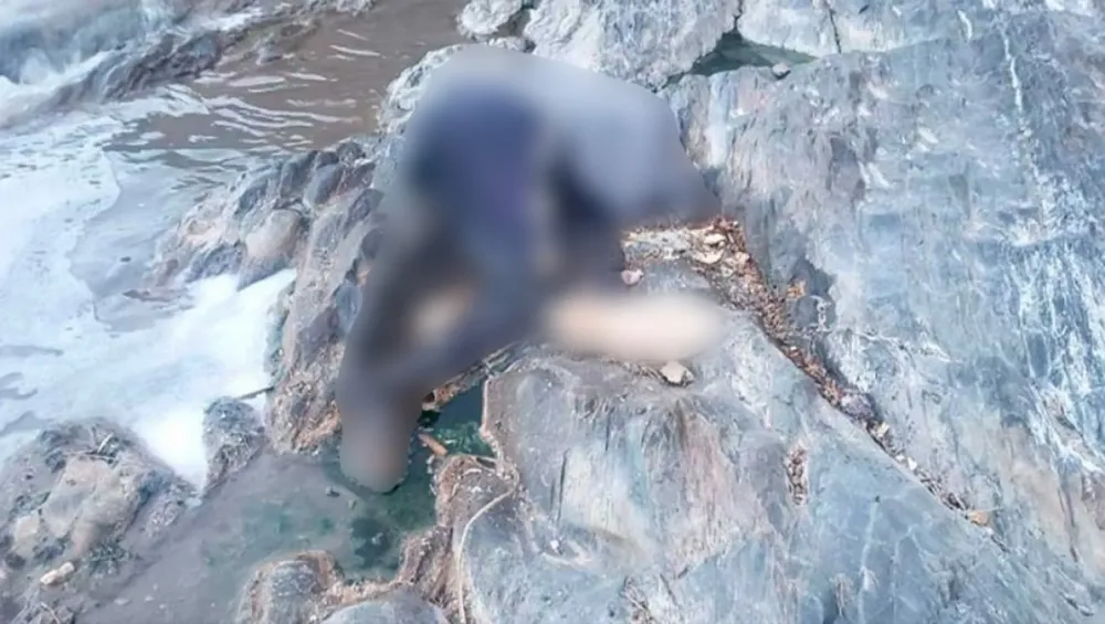 Picsart_25-05-05_17-22-23-143