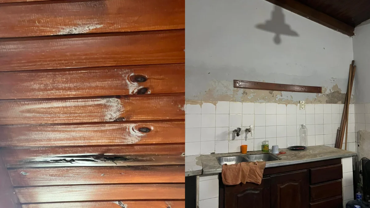 techo y cocina