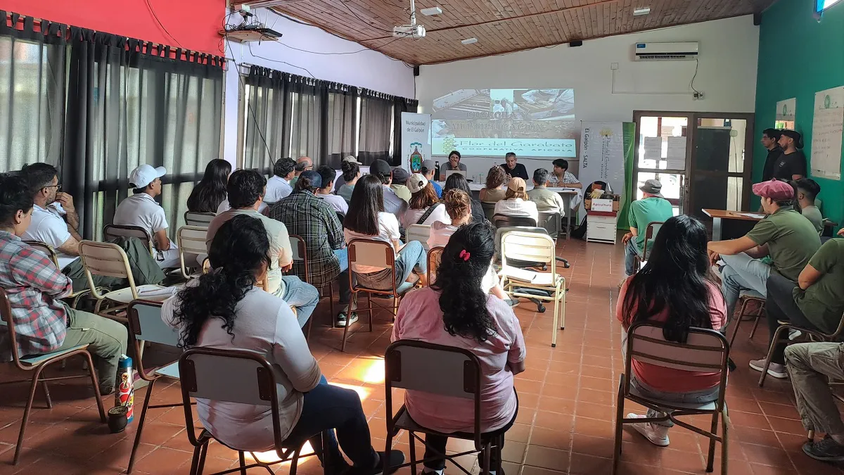 Capacitacion