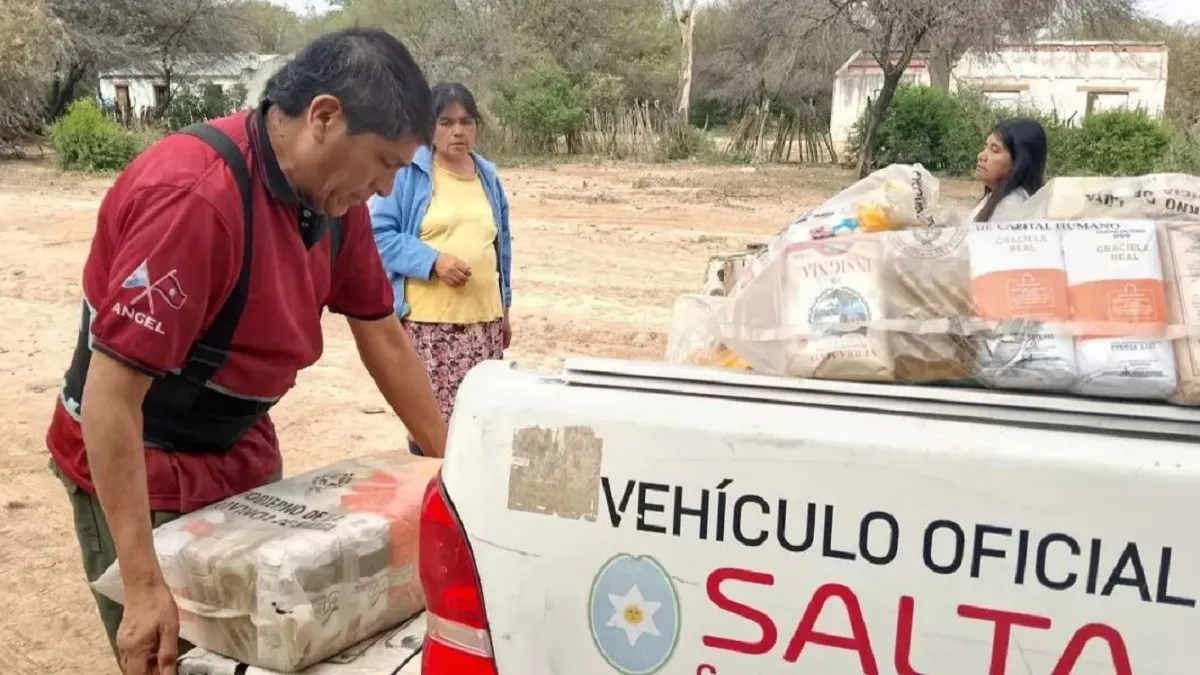 Módulos alimentarios