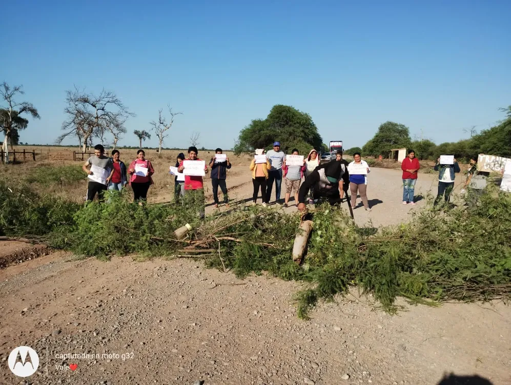 Salta Forestal