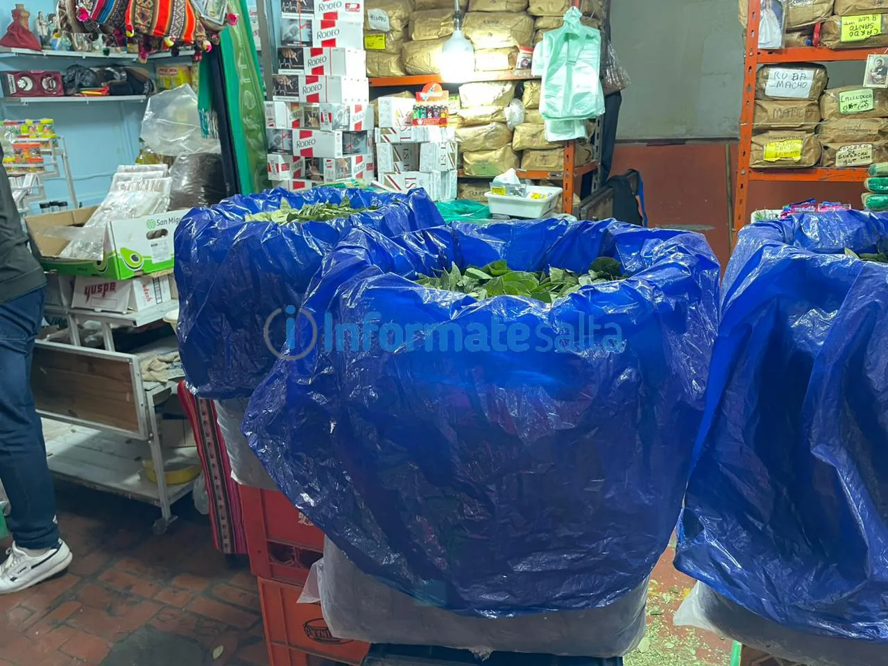 Conocé a cuánto se vende la hoja de coca en el Mercado San Miguel
