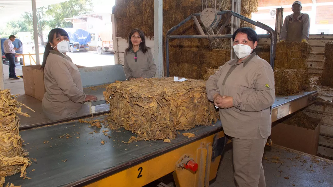 21411-el-vicegobernador-marocco-recorrio-emprendimientos-vinculados-a-la-produccion-porotera-y-tabacalera