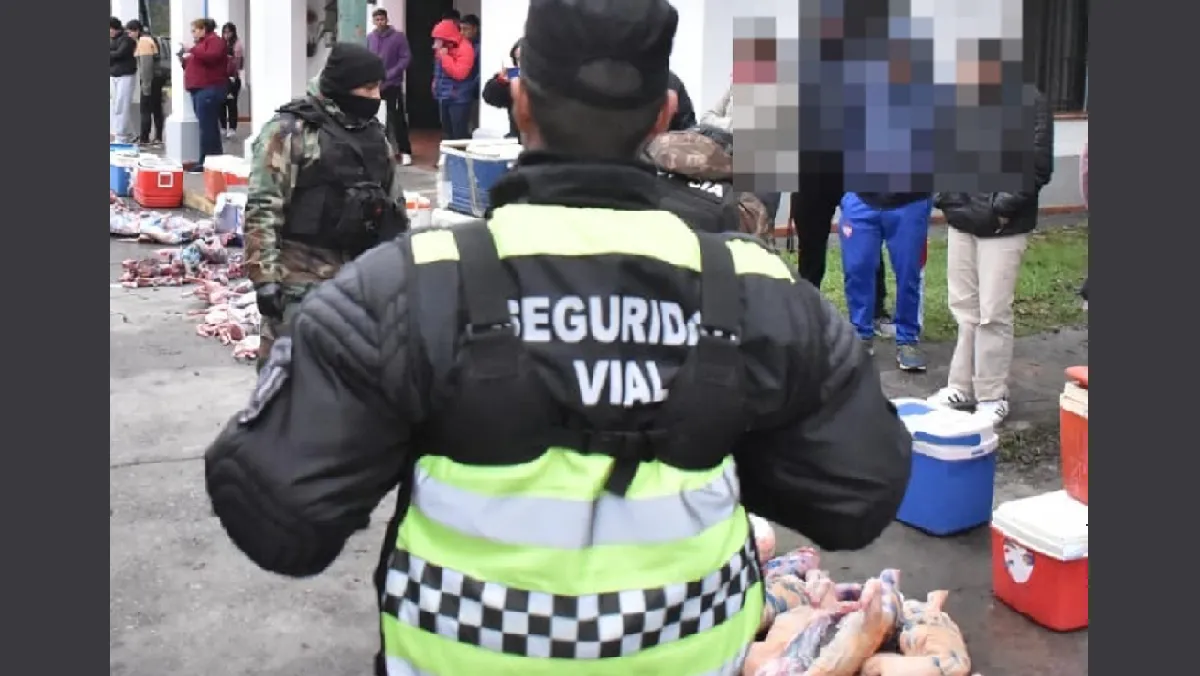 Porcina