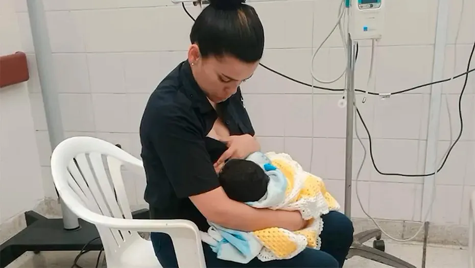 IMG_20241105_173004_(930_x_525_píxel)