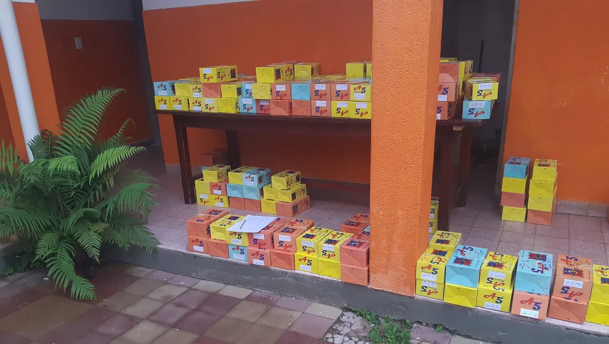Zapatillas
