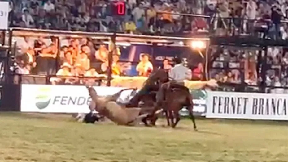 IMG_20240119_155056_(930_x_525_píxel)