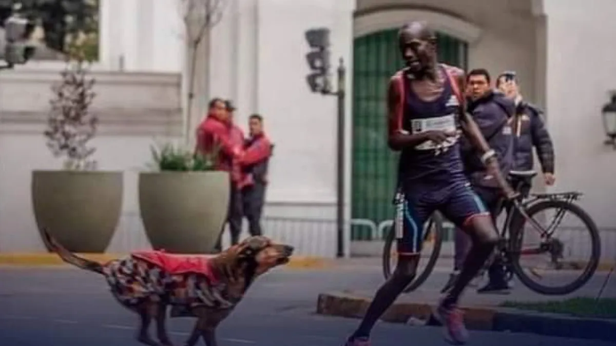 IMG_20230930_192255_(1200_x_675_píxel)