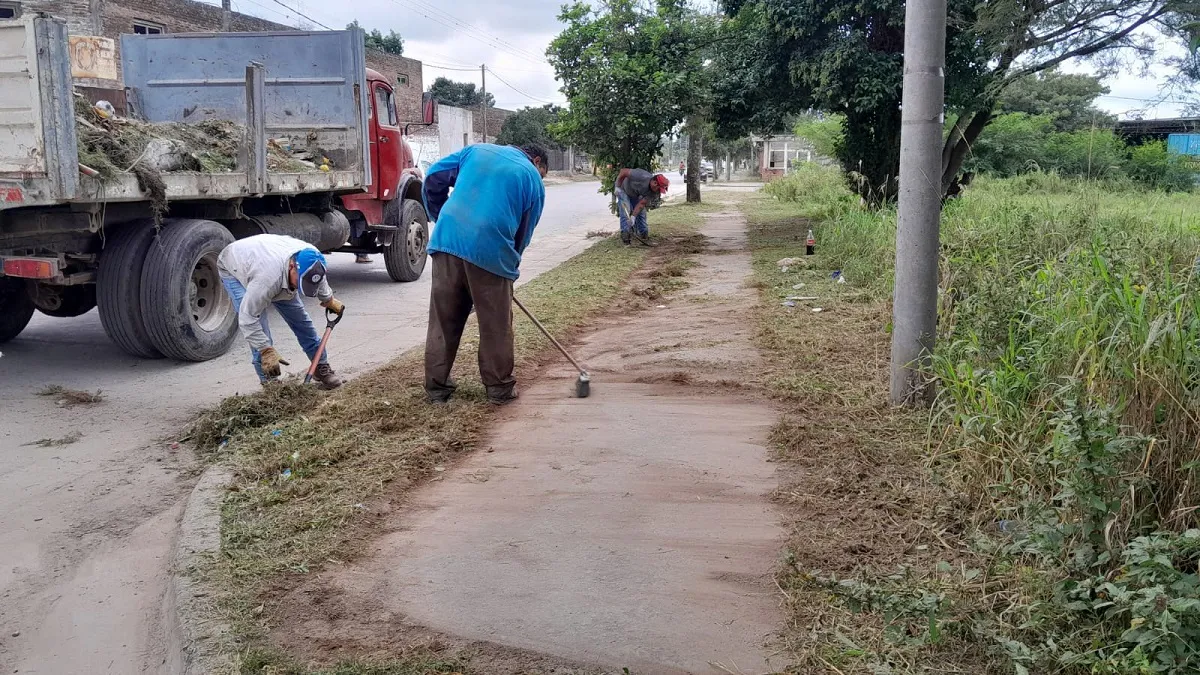 Limpieza de veredas