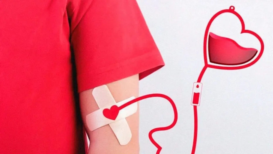 IMG_20240827_172813_(930_x_525_píxel)