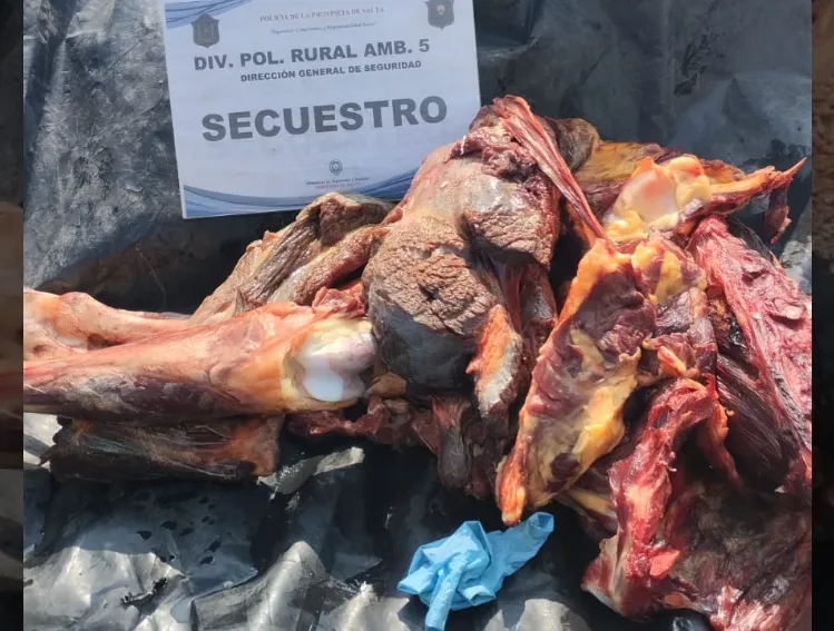 carne