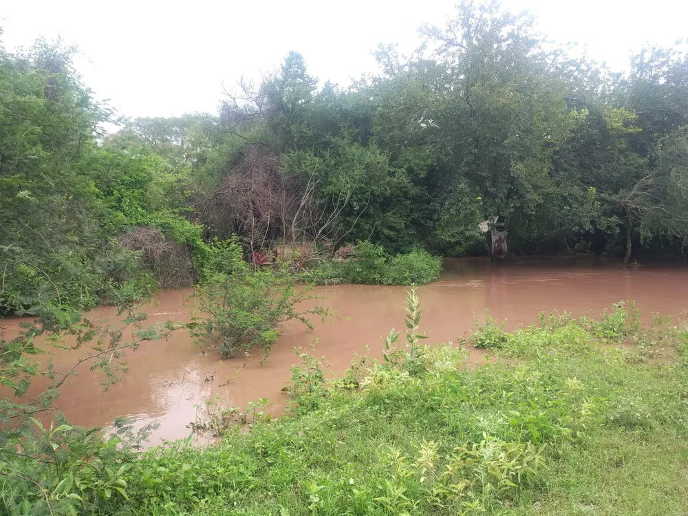 WhatsApp Image 2026-02-08 at 23.15.37