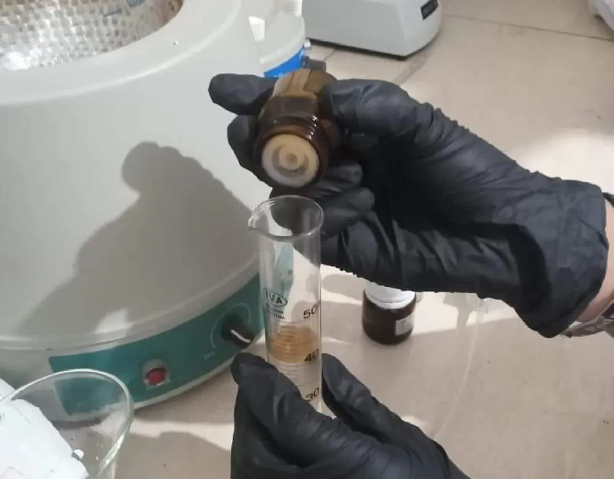 439613455_2507129062823464_1230123686898857333_n