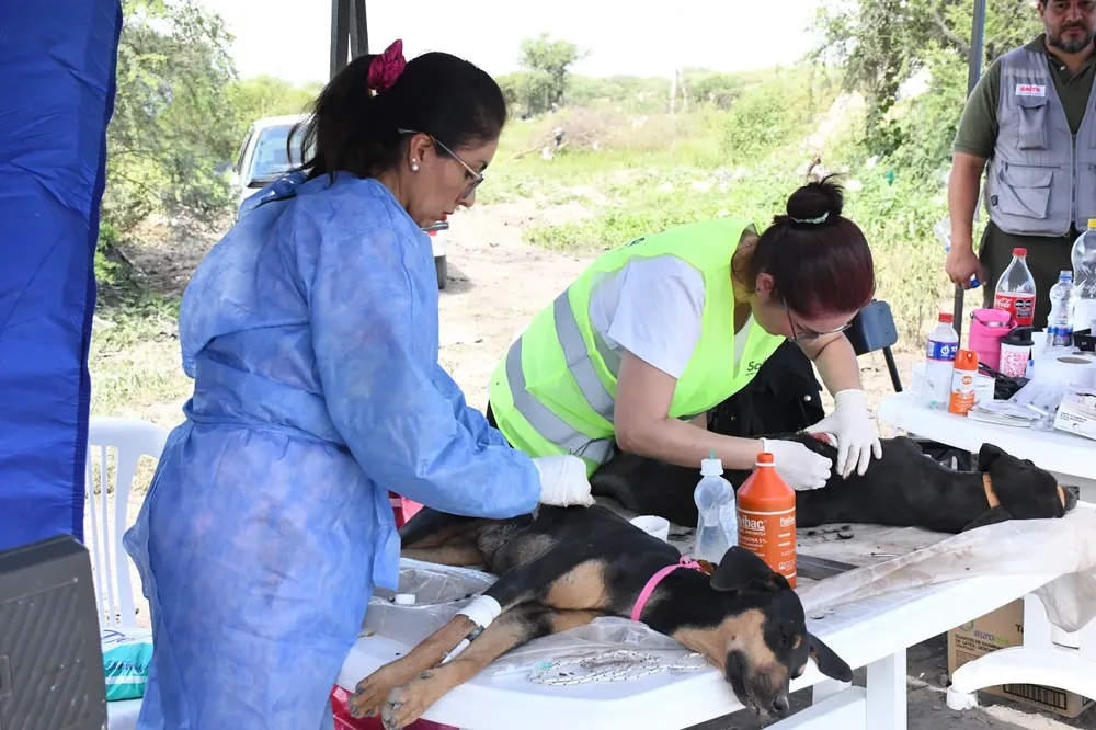 operativo-bienestar-animal-1-jpeg