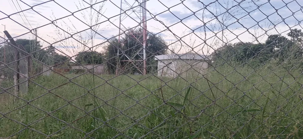 WhatsApp Image 2026-02-27 at 00.31.00