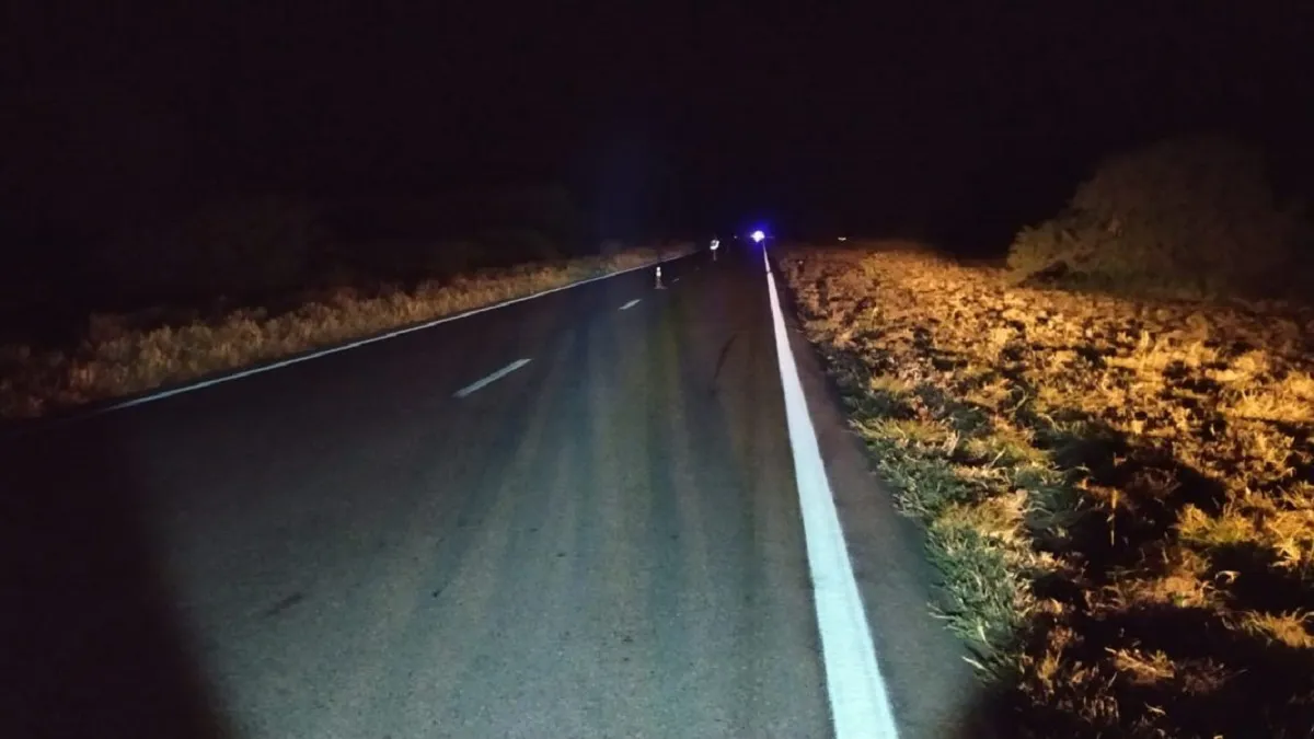 Siniestro en Tolloche
