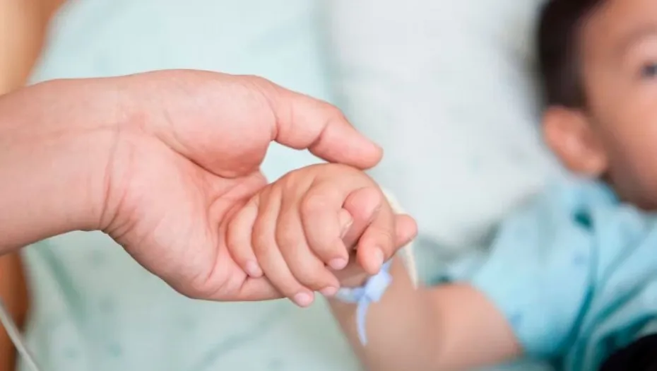 IMG_20240718_152706_(930_x_525_píxel)