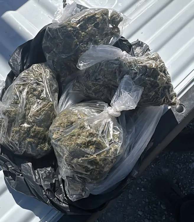 FB_IMG_1770310521800