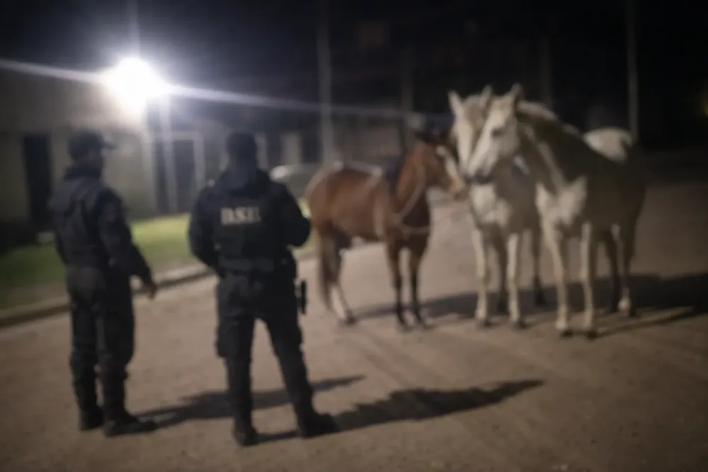 Equinos