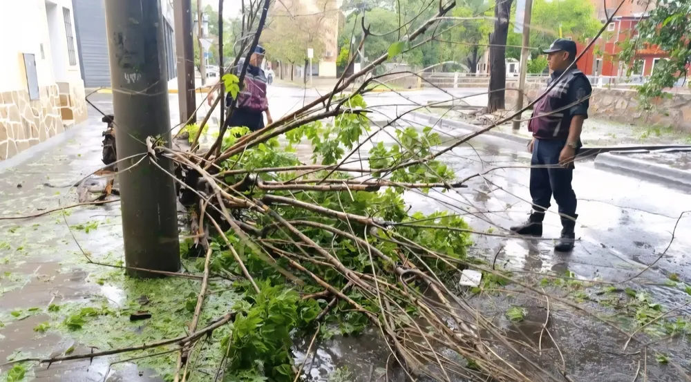 Screenshot_20260104_205118_Chrome