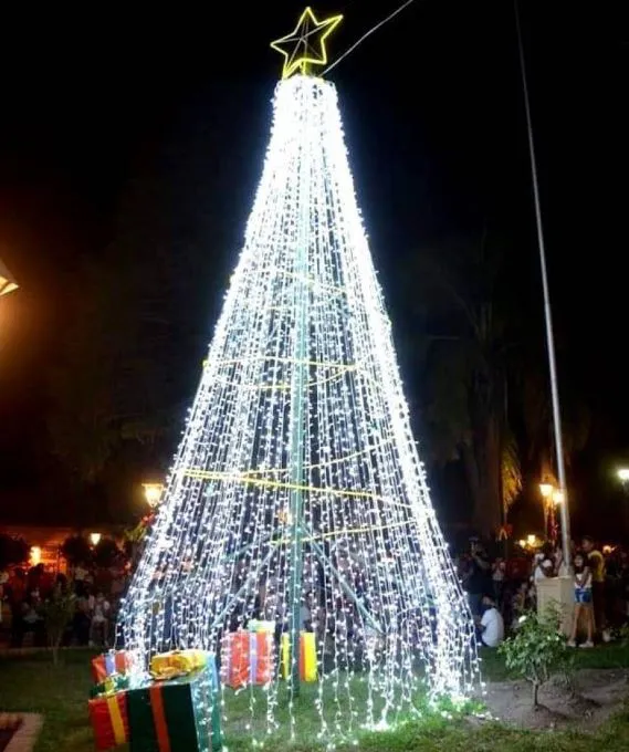 arbol