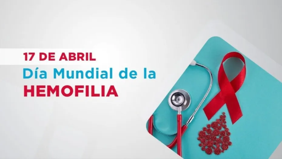 IMG_20240416_170150_(930_x_525_píxel)