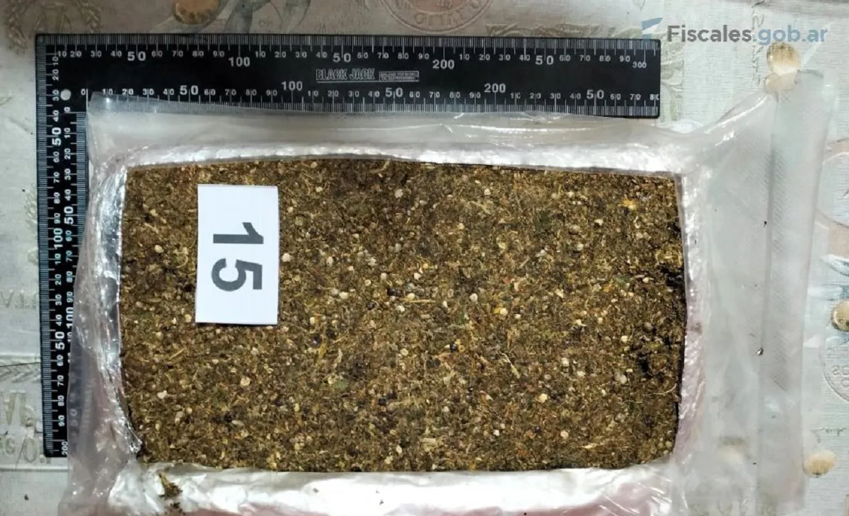 Caso - empleado judicial - drogas (1)