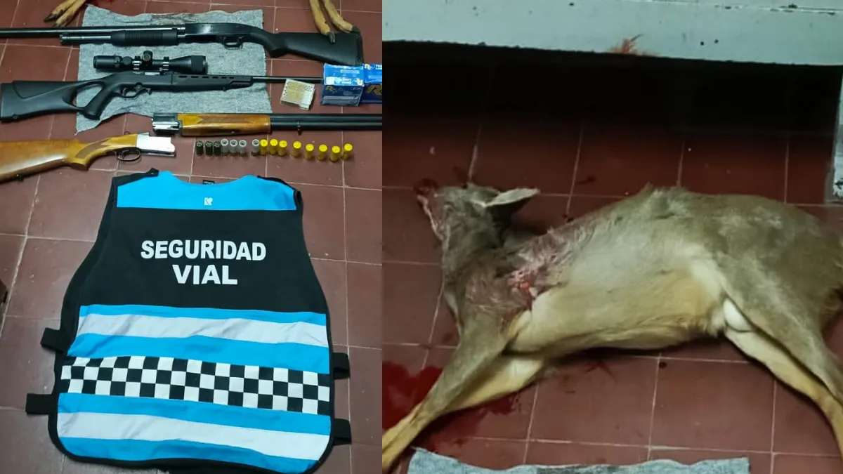 Secuestro - Vial