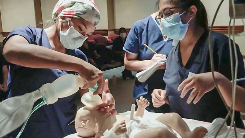 IMG_20241025_145046_(930_x_525_píxel)