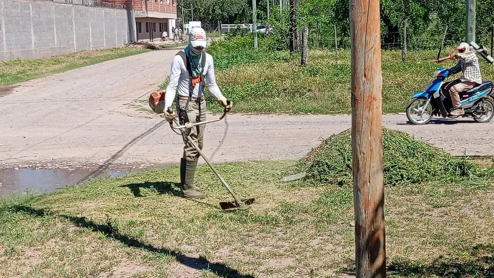 FB_IMG_1768509901096