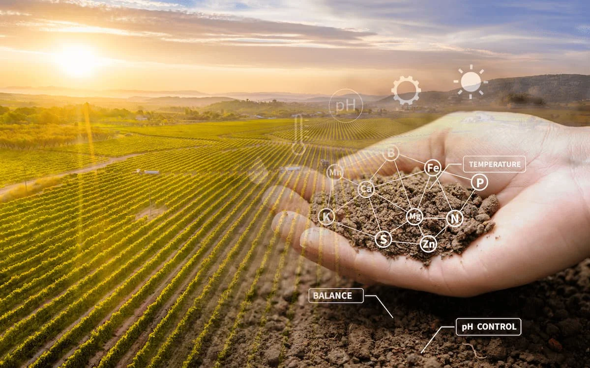 portada-NUTRICION-VEGETAL-1