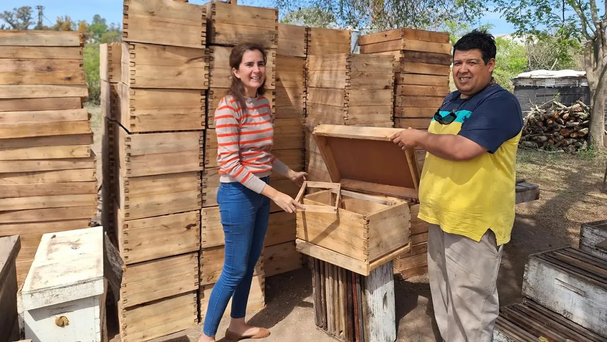 Apicultura en Metán