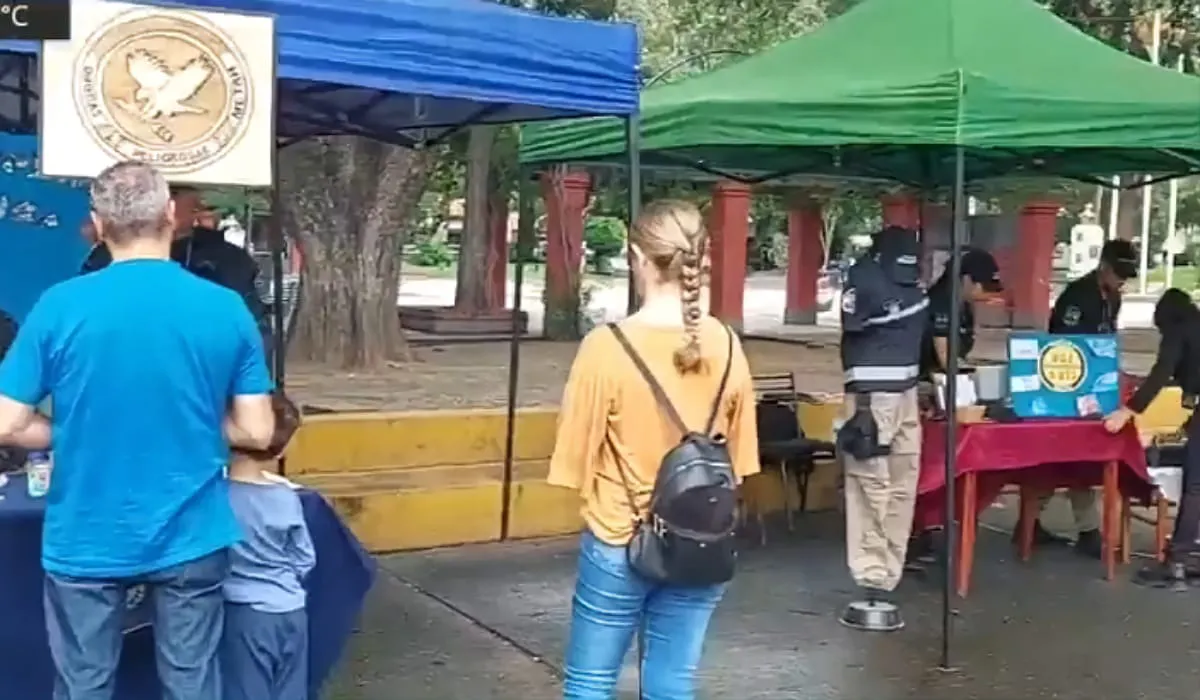 Stand